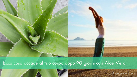 Aloe Vera. Benefici dopo 90 giorni di utilizzo