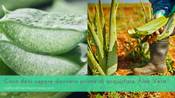 Cosa devi sapere davvero prima di acquistare Aloe Vera | Naturalmente